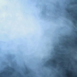 Meet your Posher, Harrison